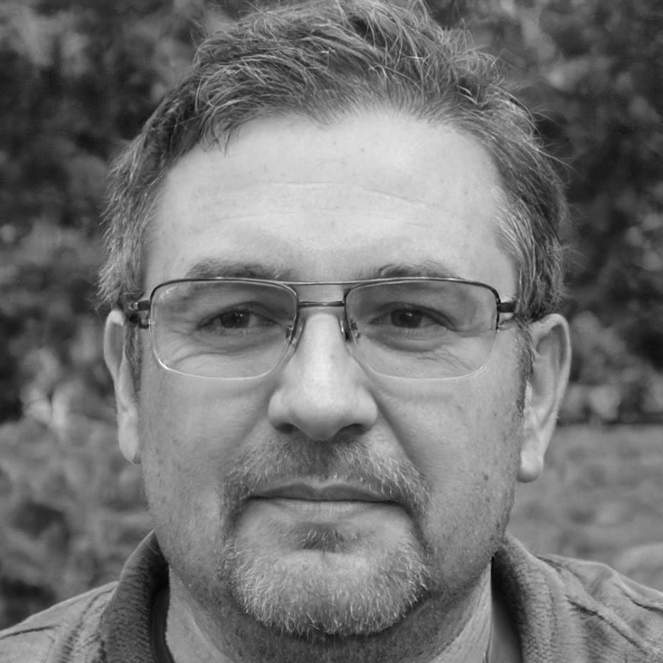 Lukas Bergström, Finanzanalyst